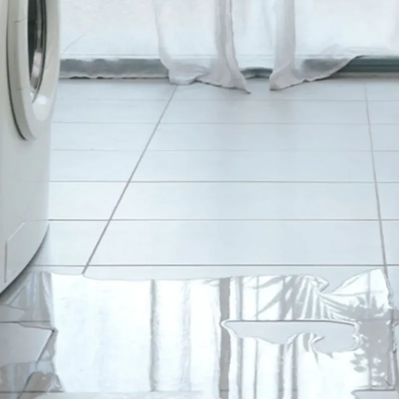 Appliance Leak Cleanup in Chelsea, MI