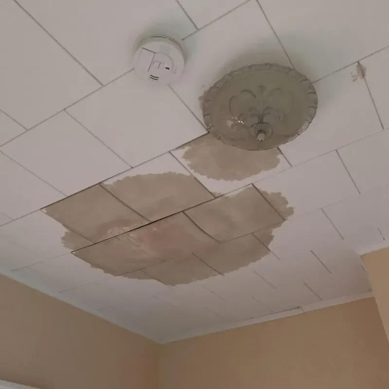 Ceiling Water Damage Repair in Chelsea, MI