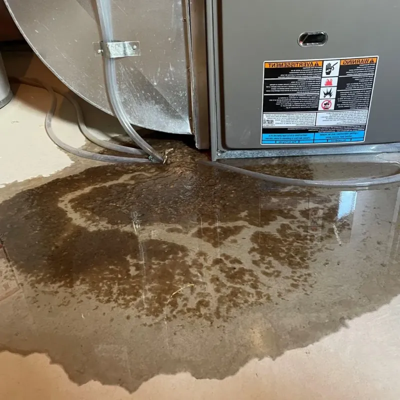 Pipe Burst and Leak Restoration in Chelsea, MI
